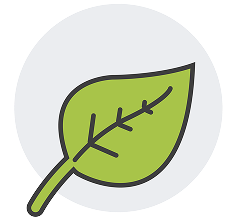 Tobacco Use Icon
